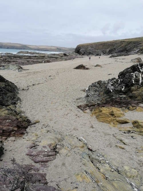 Searching for Cowrie Shells!