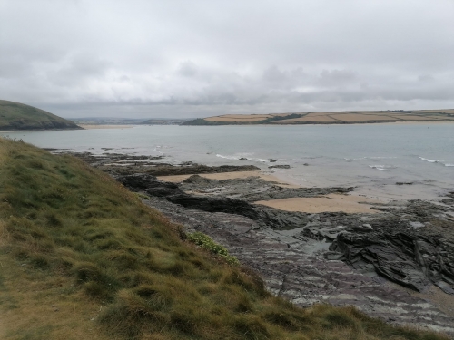 Searching for Cowrie Shells!