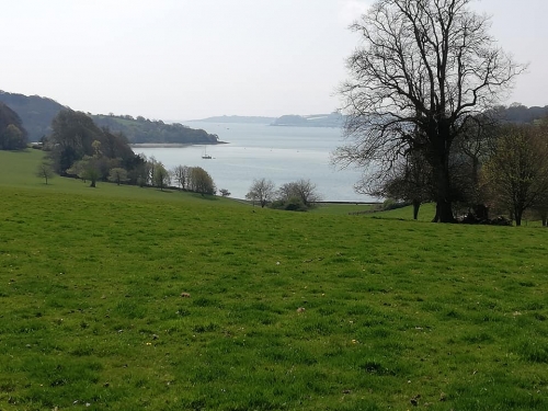 Trelissick Gardens April 2019