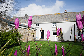 Barton Cottage - garden