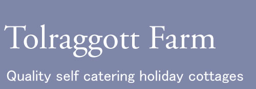 Tolraggott Farm, quality self catering holiday cottages near Port Isaac, North Cornwall